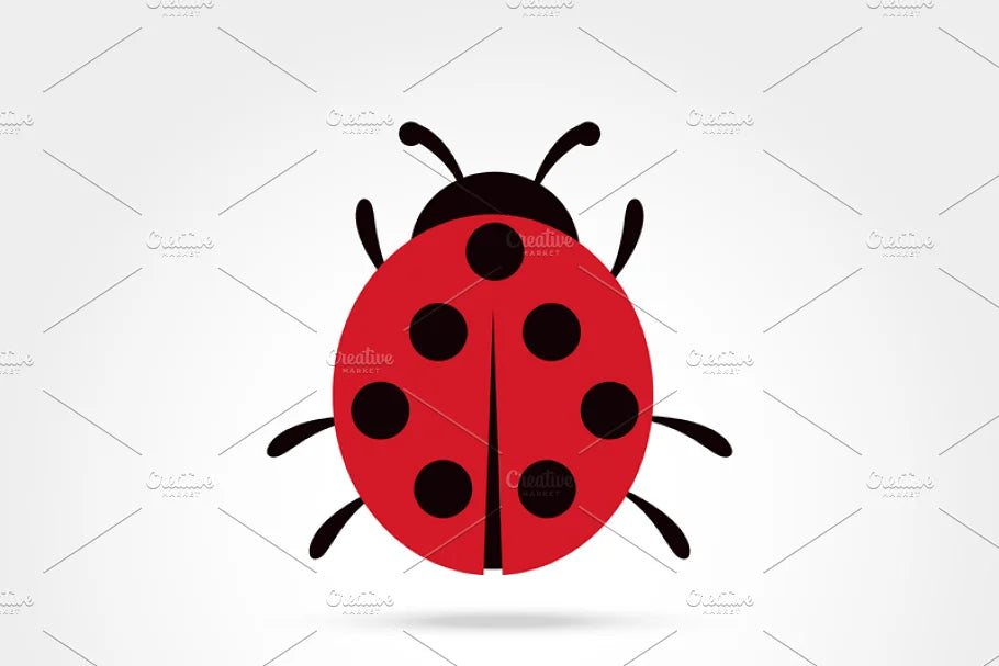 Lady Bug